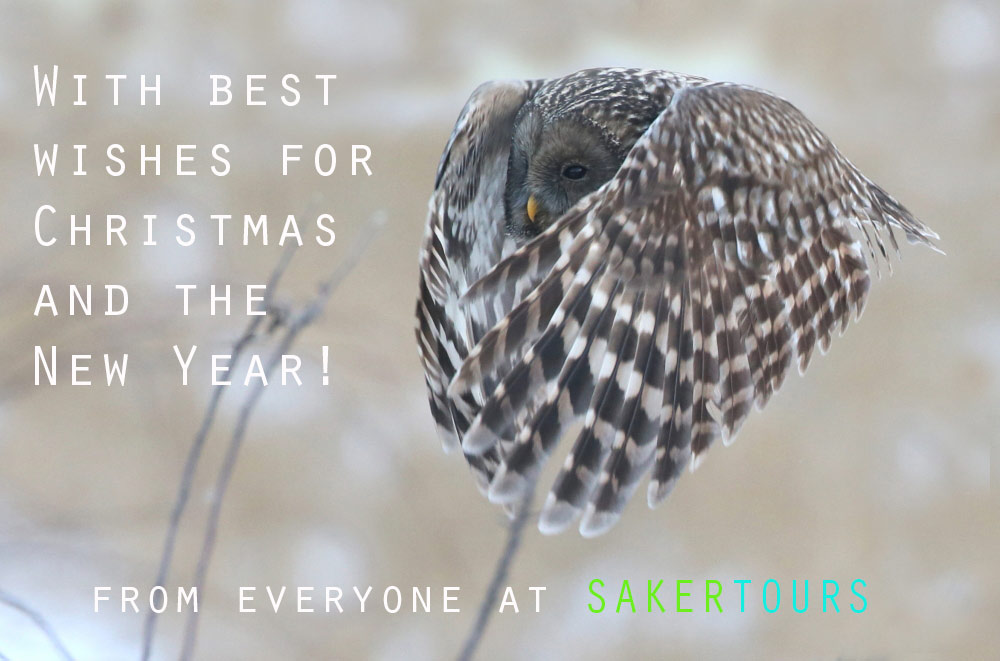 2016.12.23. 05:15:14.| sakertours2016xmascardweb.jpg